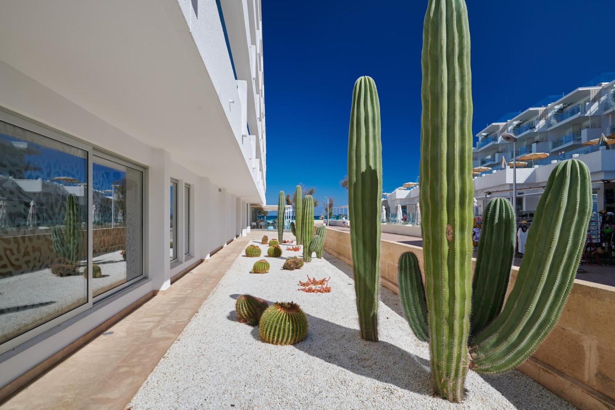 The Sea Hotel By Grupotel - Adults Only Can Picafort  Esterno foto