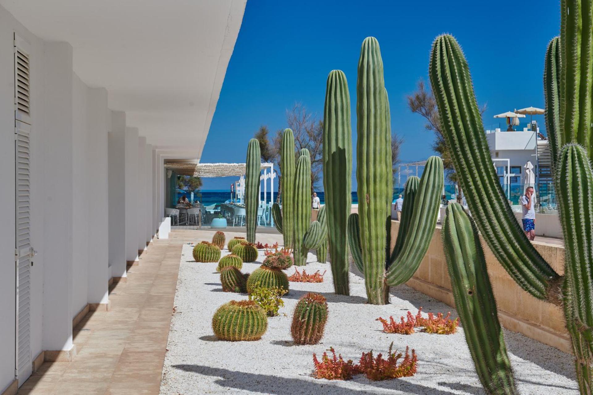 The Sea Hotel By Grupotel - Adults Only Can Picafort  Esterno foto